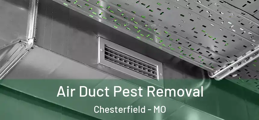  Air Duct Pest Removal Chesterfield - MO