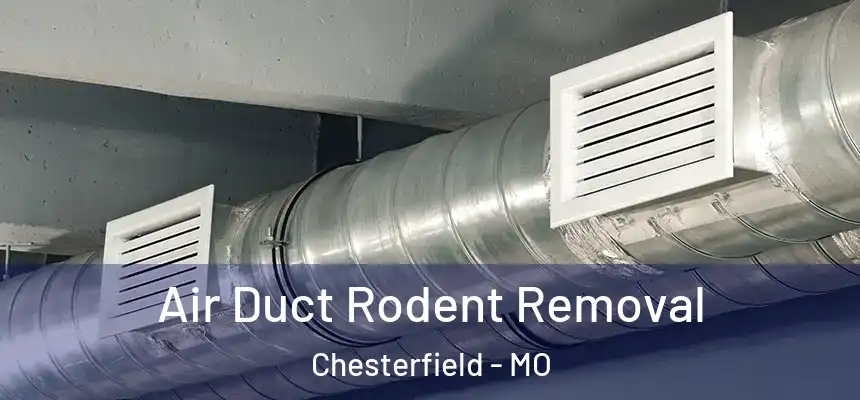  Air Duct Rodent Removal Chesterfield - MO