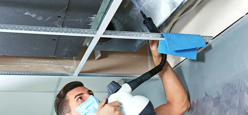 Our Air Duct Rodent Removal Services in Chesterfield, MO