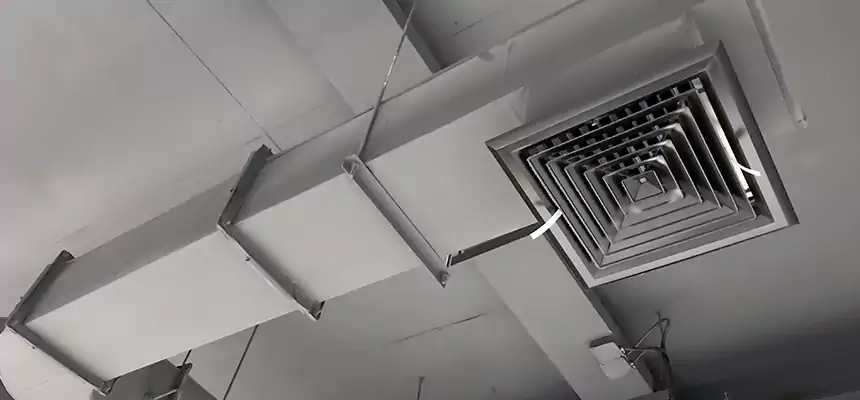 Our Pest Removal From Ducts Services in Chesterfield, MO