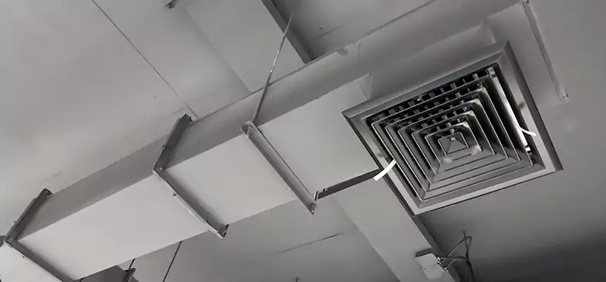 Our Rodent Droppings In Vents Services in Chesterfield, MO