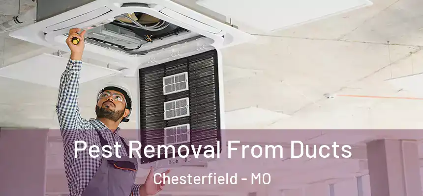Pest Removal From Ducts Chesterfield - MO