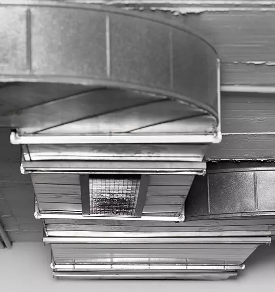 Professional Air Duct Pest Removal in Chesterfield, MO