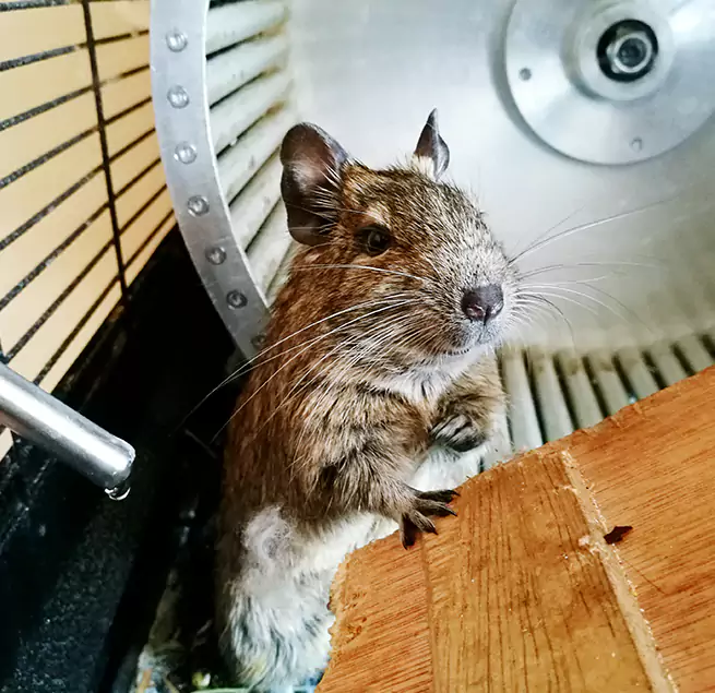 Why Homeowners & Businesses Trust Us Chesterfield, MO